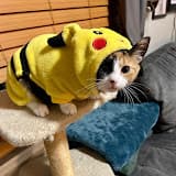 Pikasploit